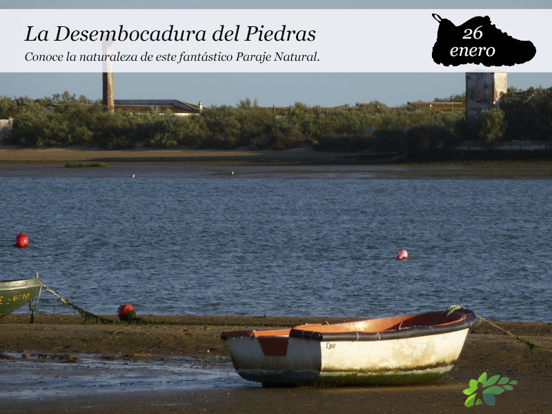 La Desembocadura del Piedras | 26 enero