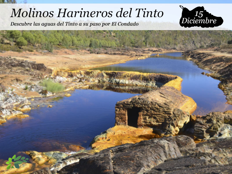 Molinos harineros del Tinto | Sábado 15 de Diciembre