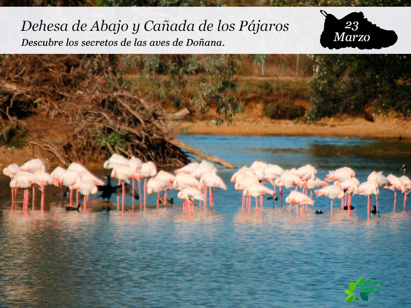 Dehesa de Abajo y la Cañada de los Pájaros | 23 de Marzo