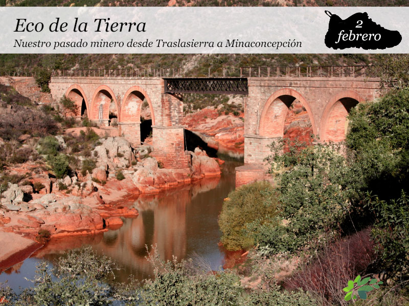 Eco de la Tierra | 2 de Febrero