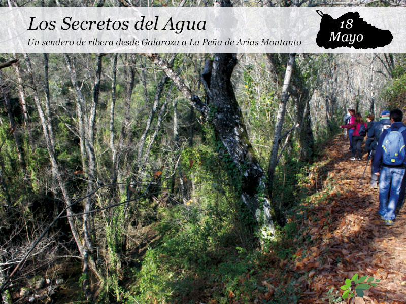 Los Secretos del Agua | 18 de Mayo